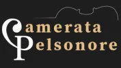 Camerata Pelsonore logó. cameratapelsonore.hu